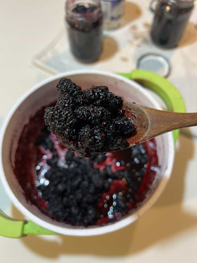桑葚果醬