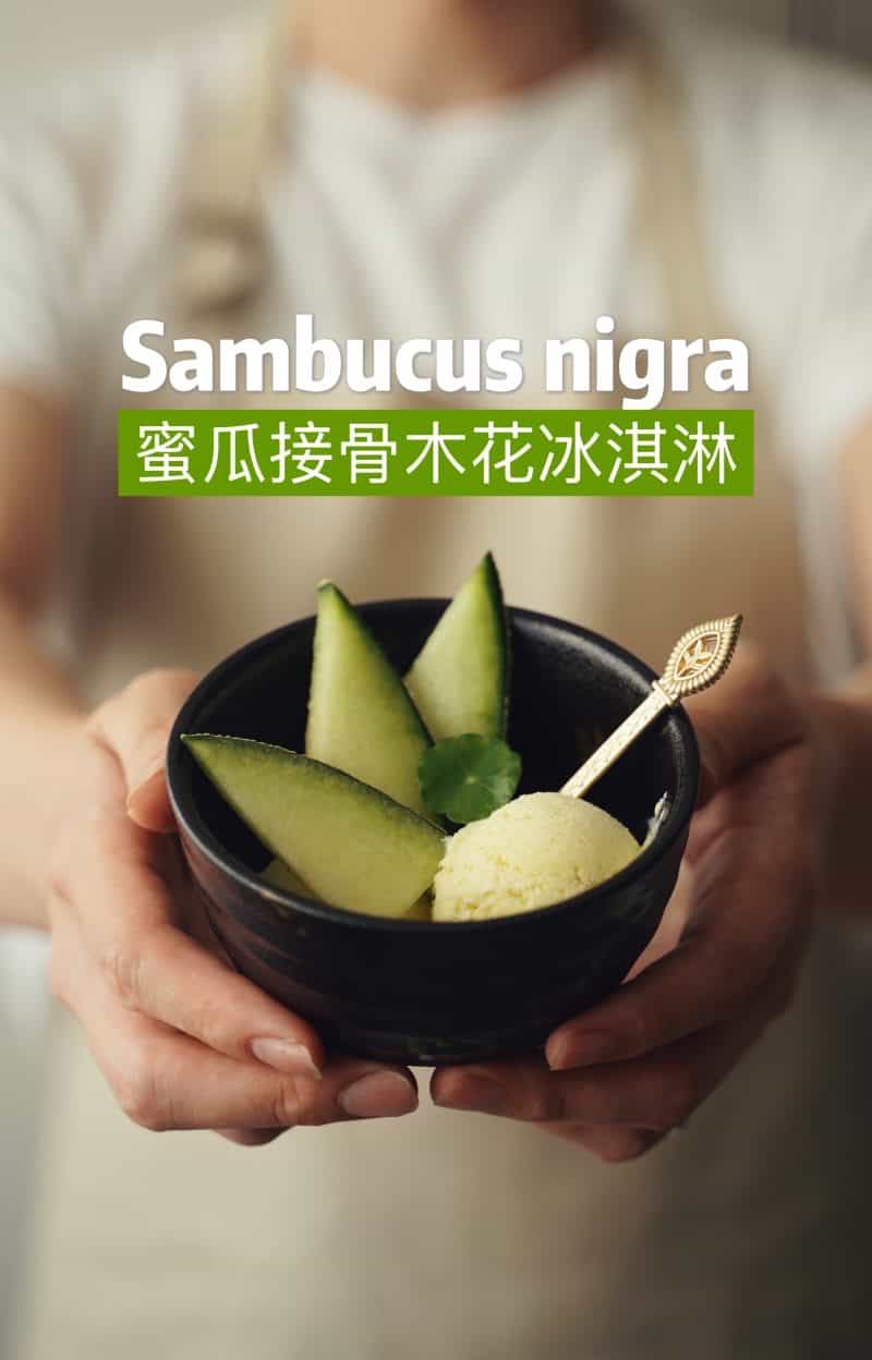 蜜瓜接骨木花冰淇淋