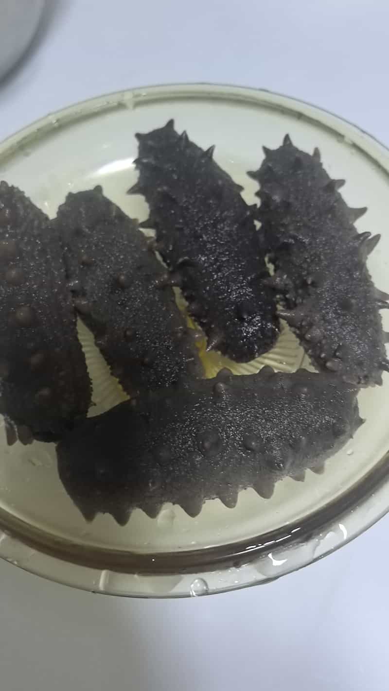 泡海參