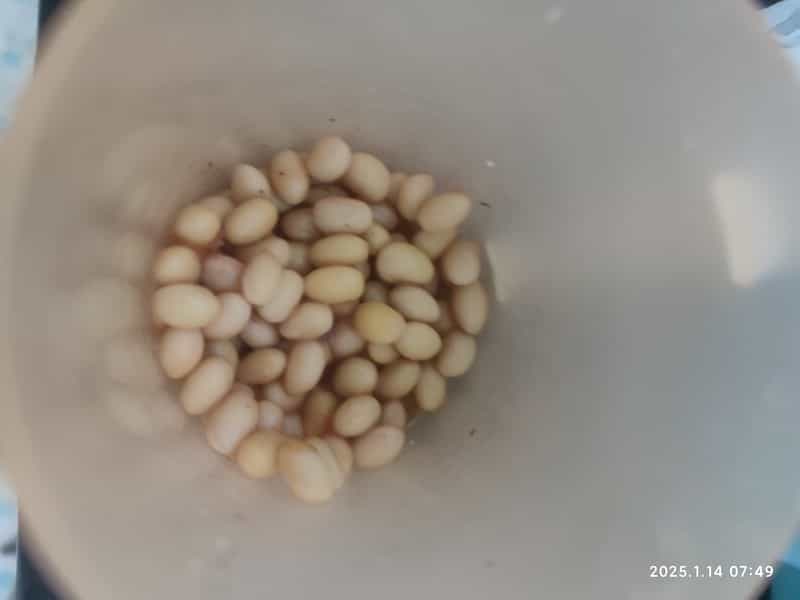 番茄醬裹黃豆