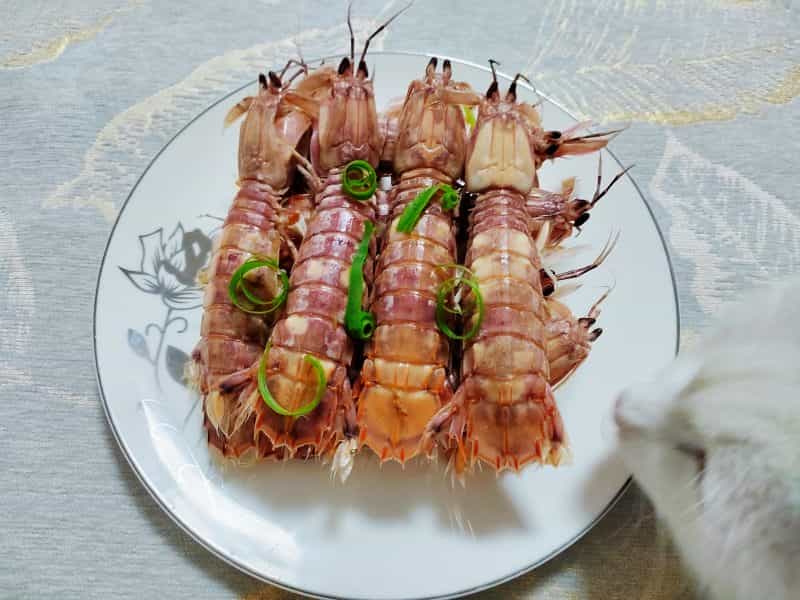 清蒸皮皮蝦