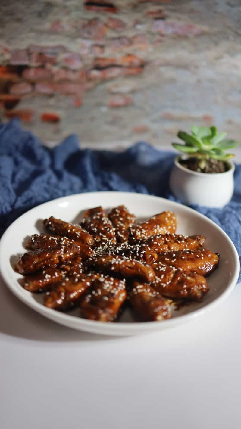 紅燒雞中翅