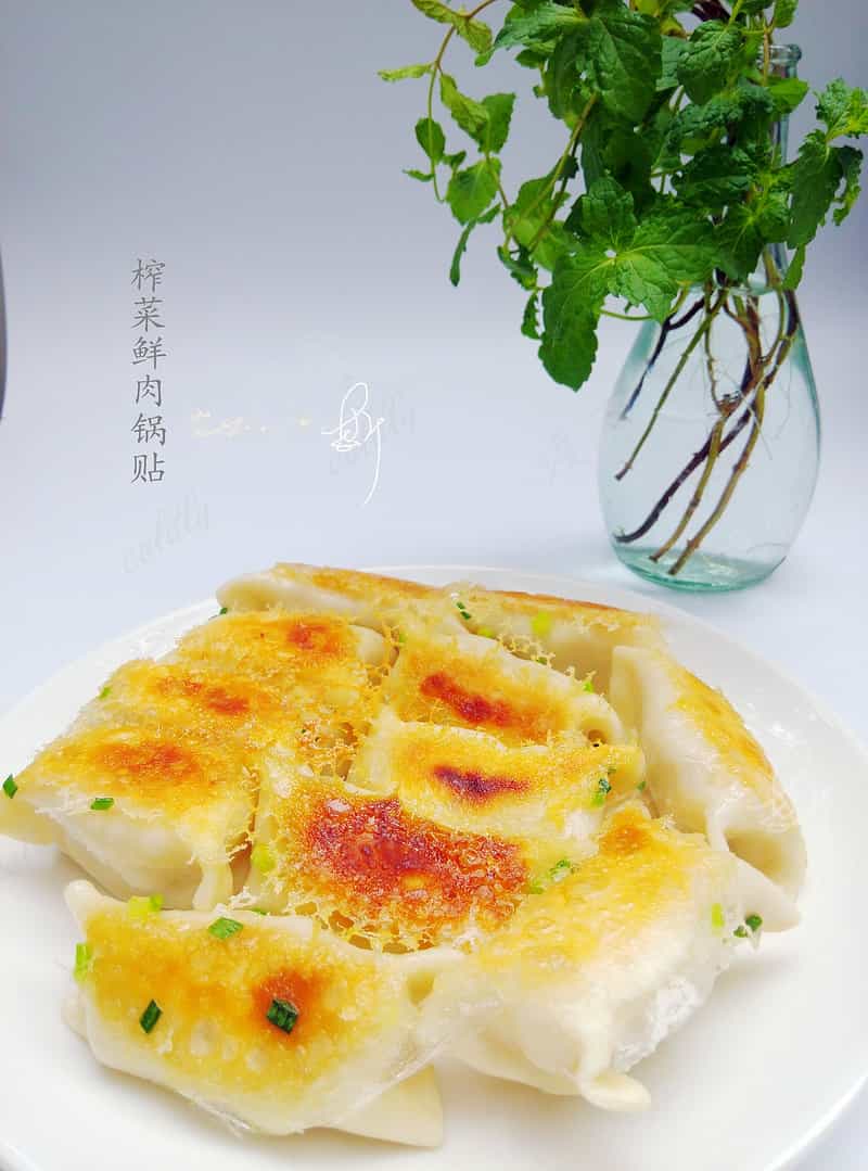 榨菜鮮肉鍋貼