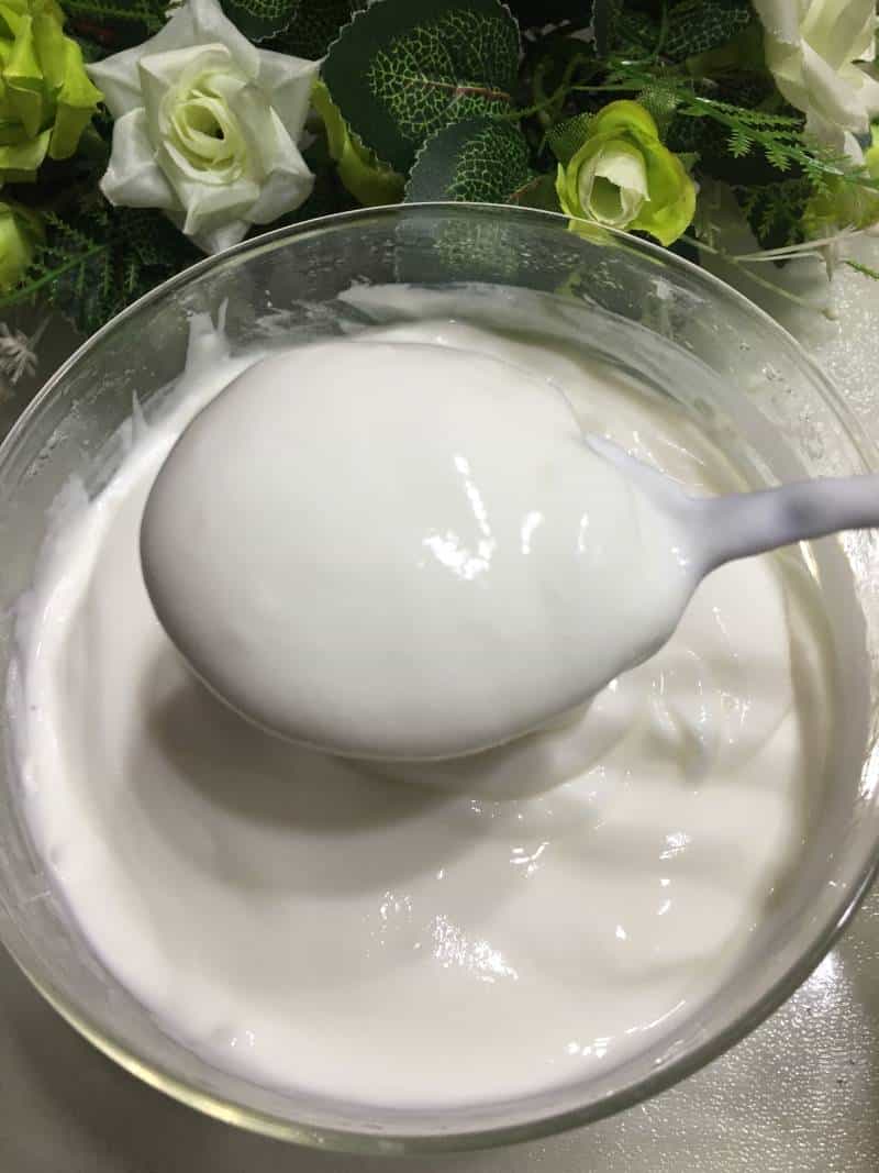 原味優格