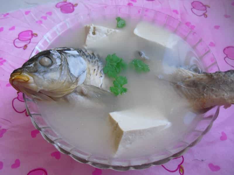 鯽魚豆腐湯