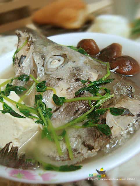 鮭魚頭豆腐湯