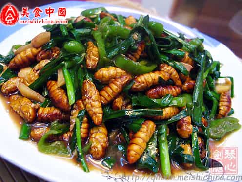韭菜炒蠶蛹