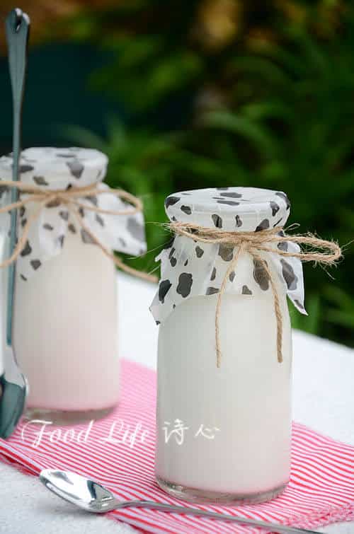雙歧桿菌酸奶