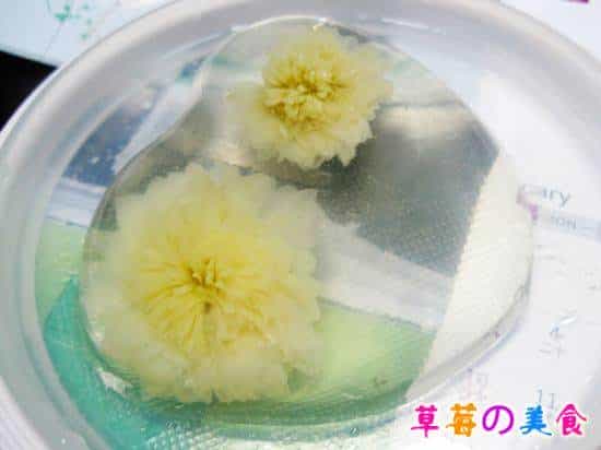 菊花茶凍