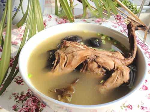 清燉鴿子湯