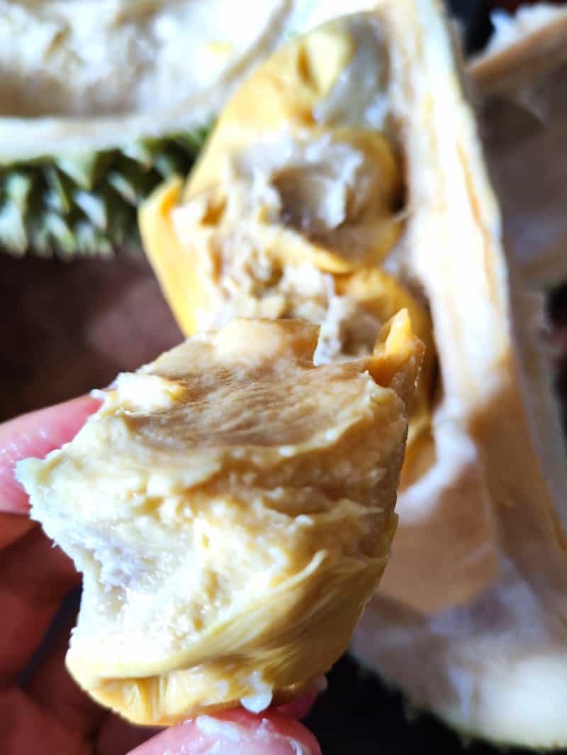 正確打開黑刺榴蓮
