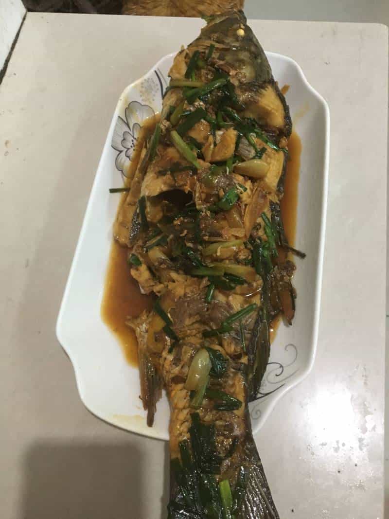 年年有魚