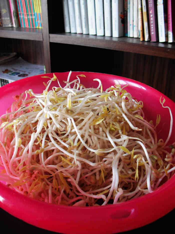 生髮綠豆芽