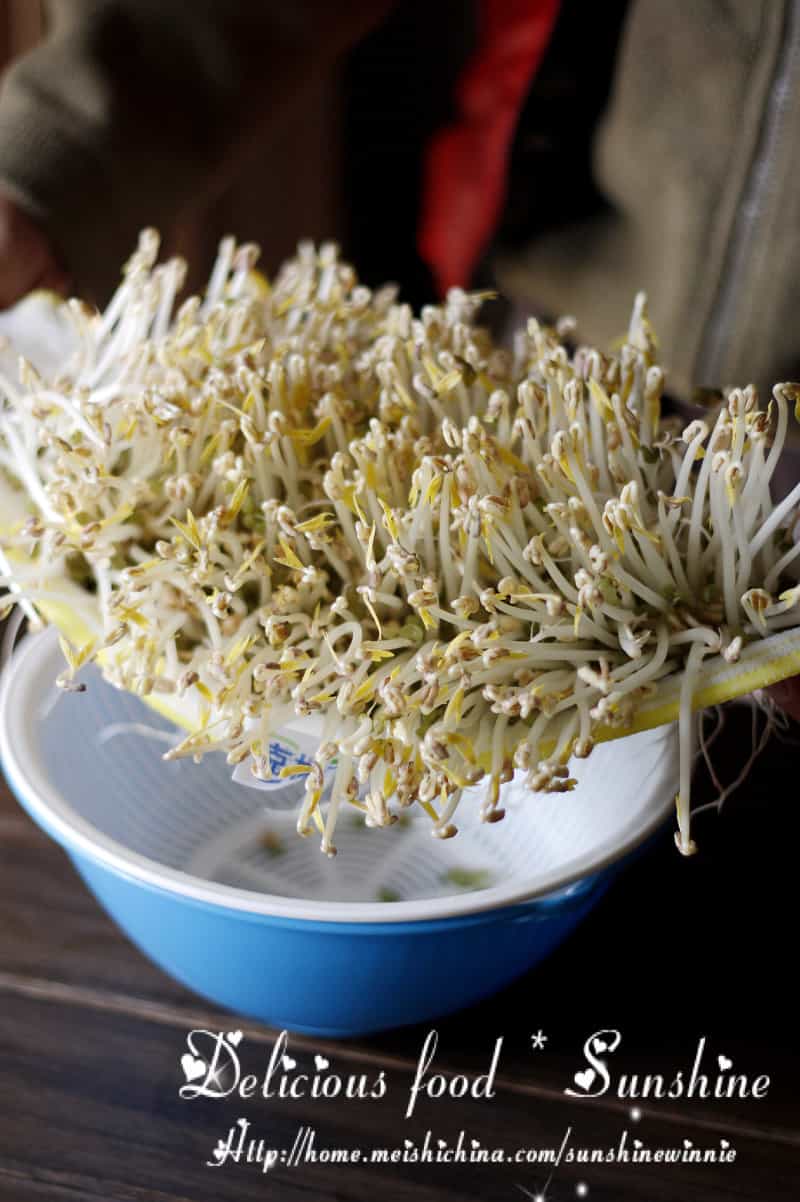 自製綠豆芽