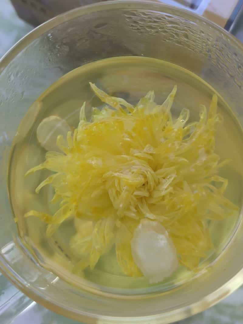 西洋參菊花茶