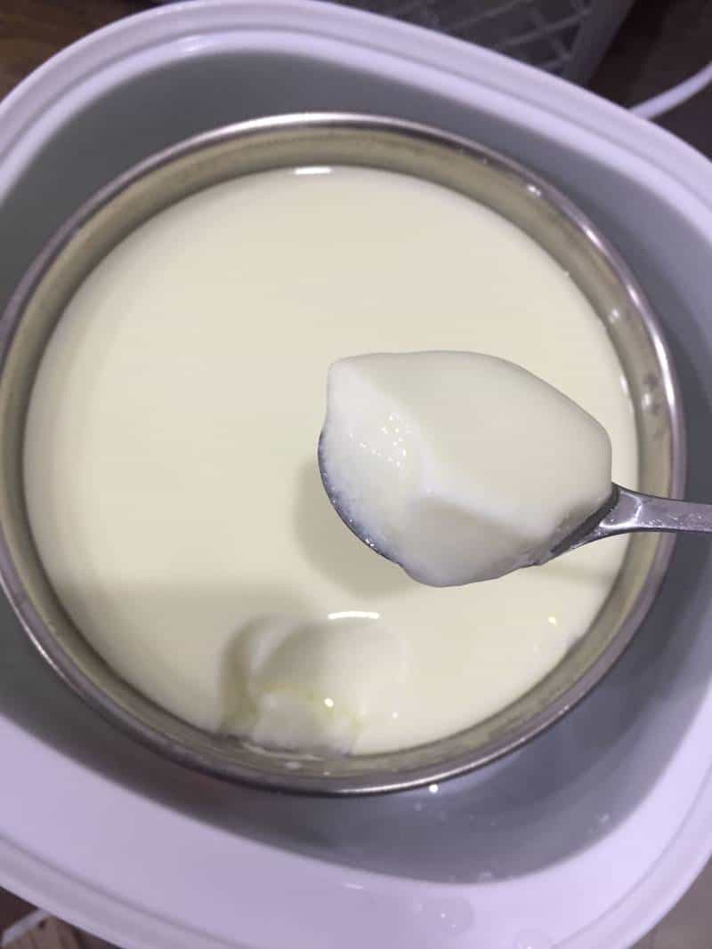 奶粉版自製酸奶