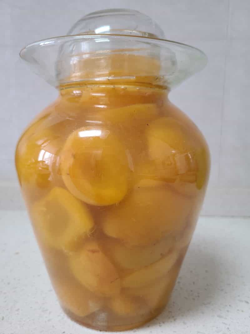 黃杏罐頭