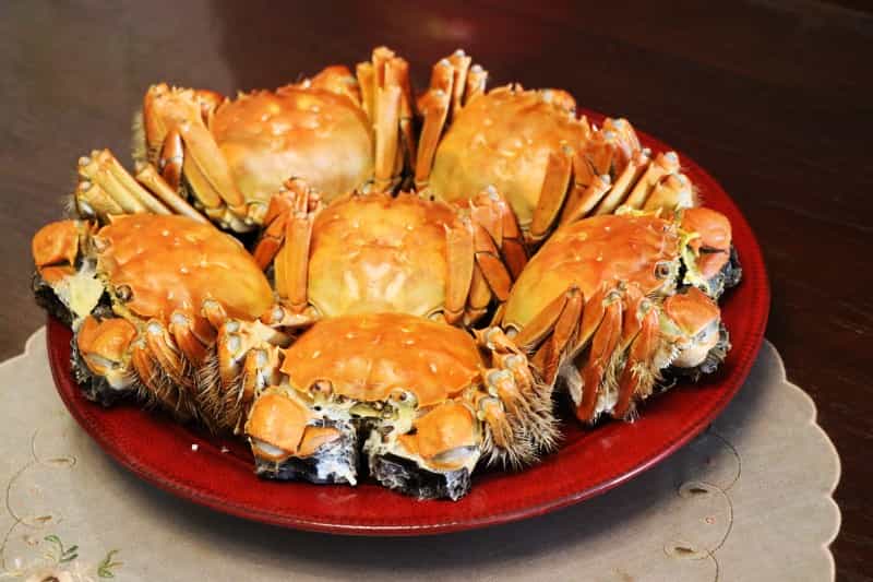 清蒸大閘蟹