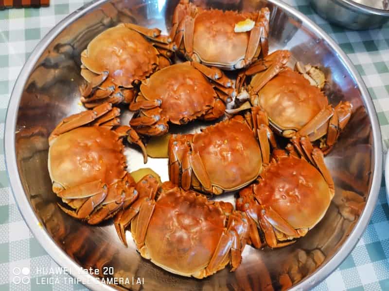 清蒸大閘蟹