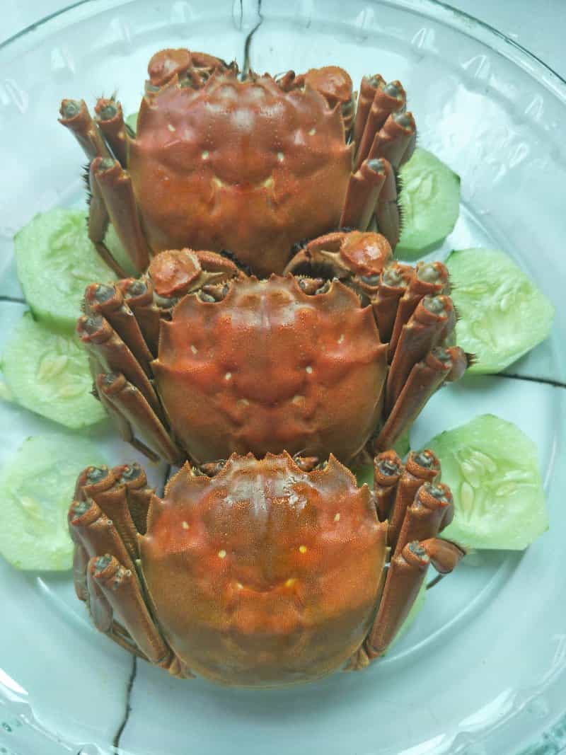 清蒸大閘蟹