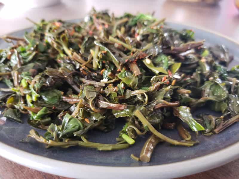 涼拌枸杞芽
